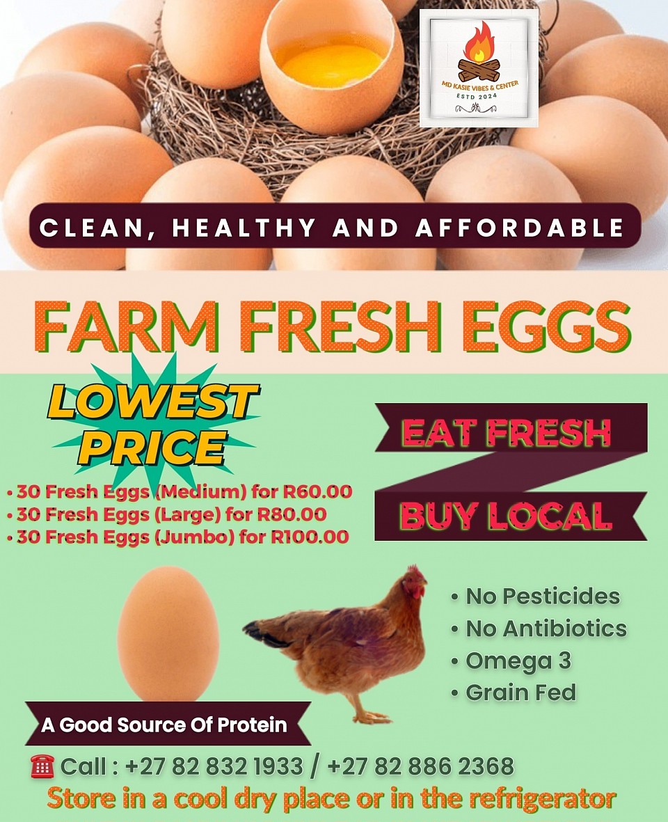 🔘Fresh Farm Egss, Clean Healthy at Affordable Orices